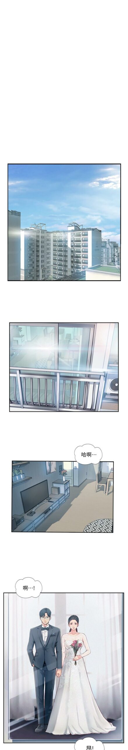 完美新伴侣2 scaled