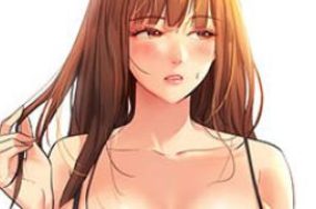 洞洞杂货店 – 洞洞杂货铺 完结